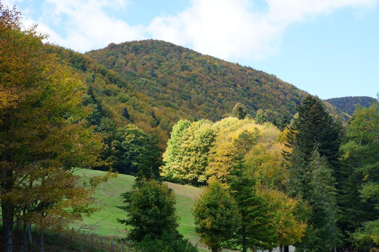 Monastero Sant'Alberico Relais Hotel Balze ภายนอก รูปภาพ